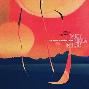 What Kinda Music by Tom Misch & Yussef Dayes