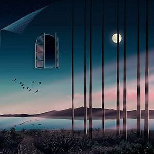 I Feel How This Night Should Look by Psychemagik