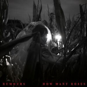How Many Roses by Rumours