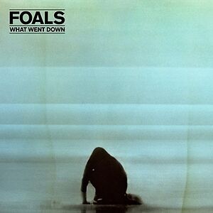 What Went Down - 10th Anniversary by Foals