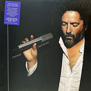 Have We Met by Destroyer