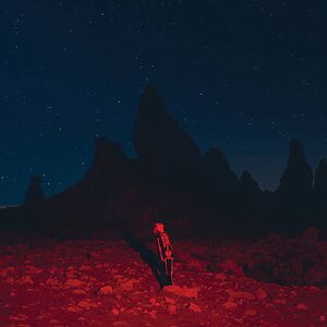 Punisher  by Phoebe Bridgers