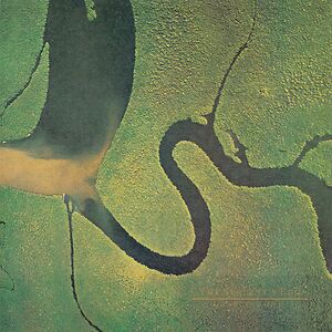 The Serpent's Egg by Dead Can Dance