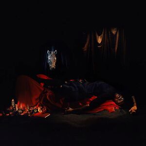I Grow Tired But Dare Not Fall Asleep - ltd clear vinyl by Ghostpoet