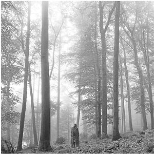 Folklore 2LP by Taylor Swift