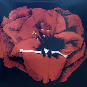 Adore by The Smashing Pumpkins