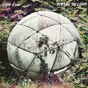 Eyes On The Lines by Steve Gunn