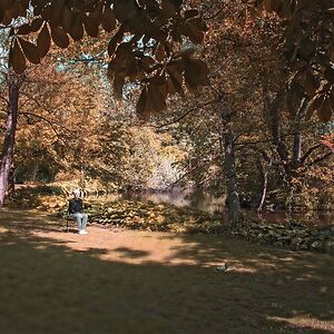 7.6.9.6. LP by Spinvis