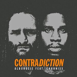 Contradiction by Alborosie