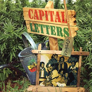 Vinyard by Capital Letters