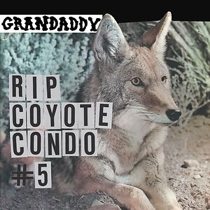 Rip Coyote Condo #5 by Grandaddy