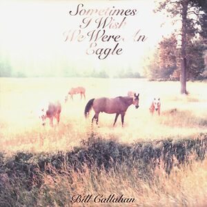 Sometimes I Wish We Were An Eagle by Bill Callahan