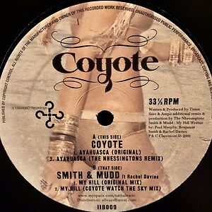 Ayahuasca / My Hill by Coyote
