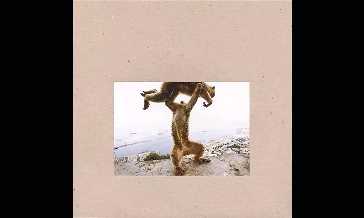 Shellac - Surveyor