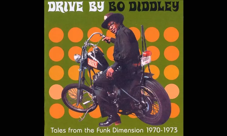 Bo Diddley - The Shape I'm In