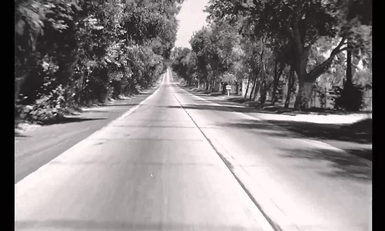 Bonnie Prince Billy - Ease Down the Road