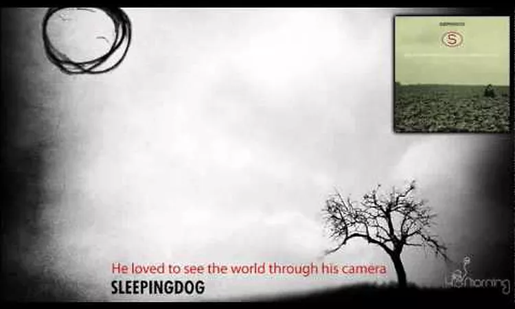 Sleepingdog - He loved to see the world through his camera