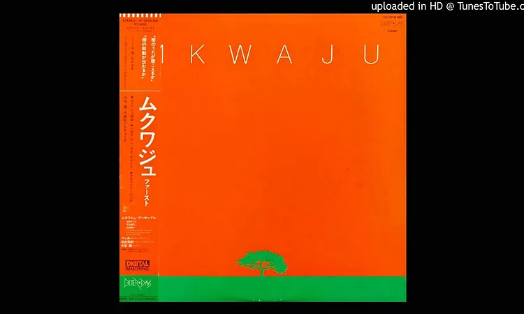 Mkwaju Ensemble - Tira Rin