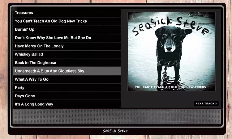 Seasick Steve 'You Can't Teach An Old Dog New Tricks' album player