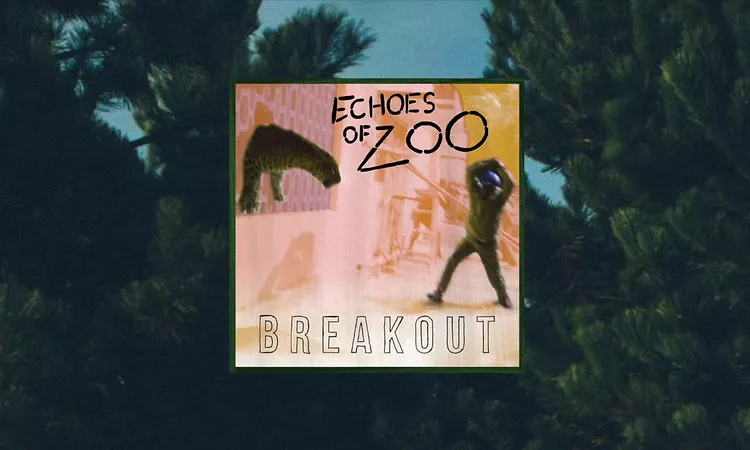 Echoes of Zoo ? Dance Around Bullets