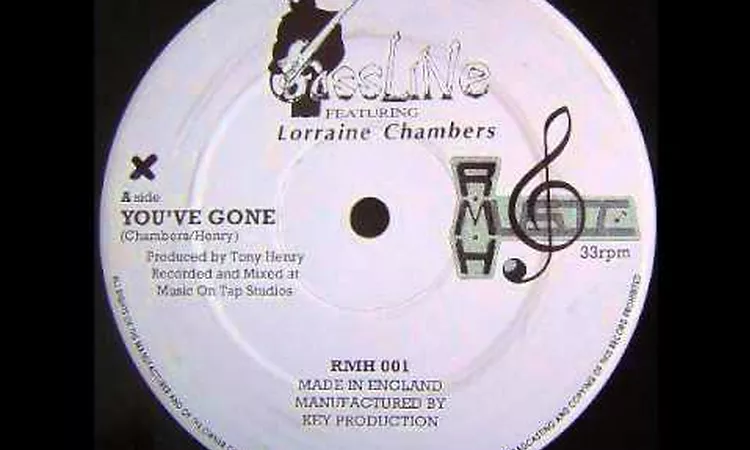 Bassline - You've Gone