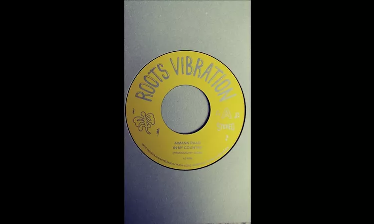 Aimann Raad - In My Country / Melodica Version