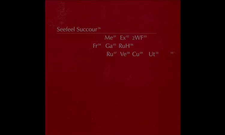 Seefeel / Ruby Ha