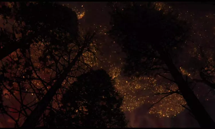 The Seedling - Bonnie Prince Billy Music Video