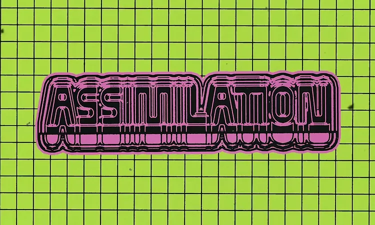 R?is?n Murphy - Assimilation (Official Audio)