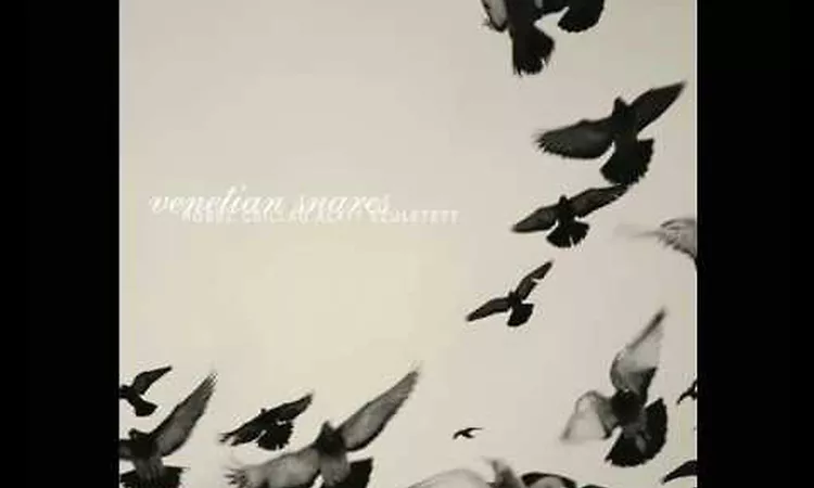 Venetian Snares - Szamar madar