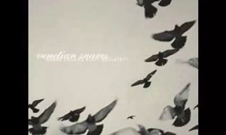 Venetian Snares - Hajnal (high quality)