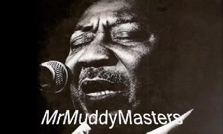 MUDDY WATERS, Screamin? and Cryin?