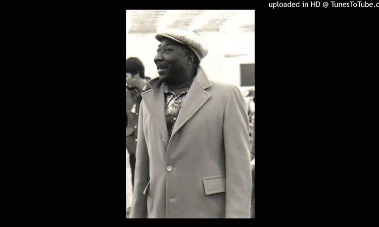 Muddy Waters - Canary Bird