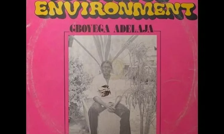 AfroFunk, Gboyega Adelaja ?- Colourful Environment