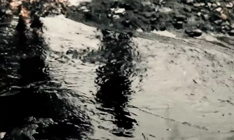 She Past Away - Sanr? (Official Video)