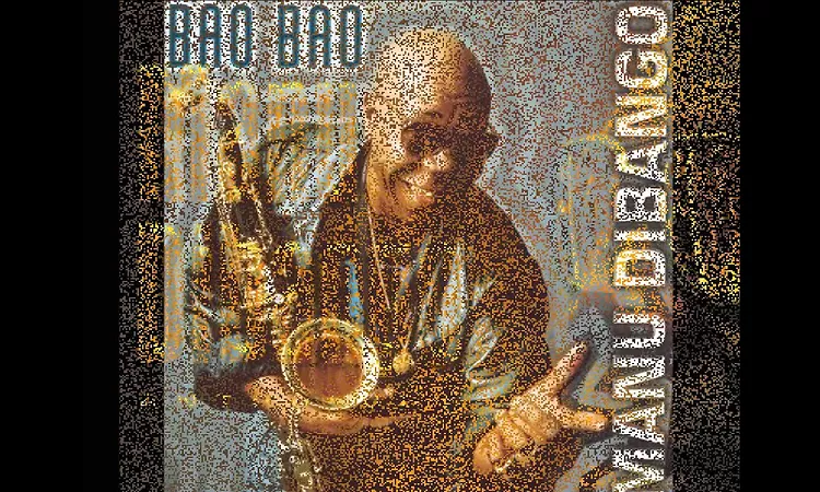 Manu Dibango -  Africadelic