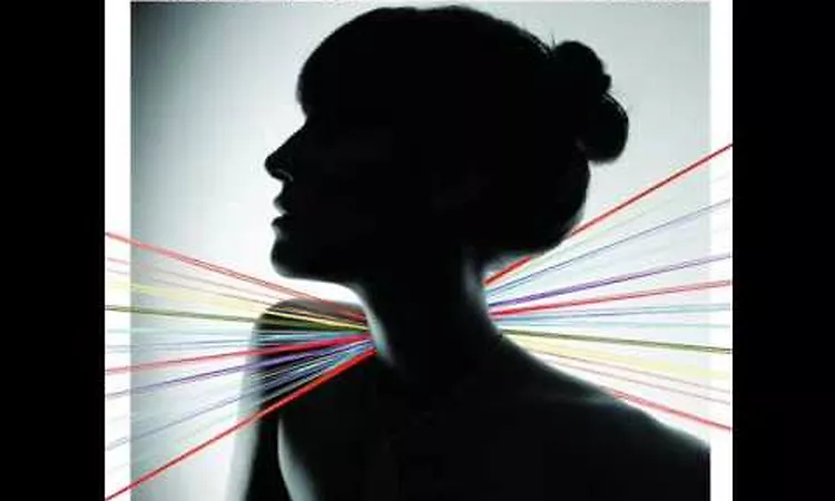 Feist - The Park
