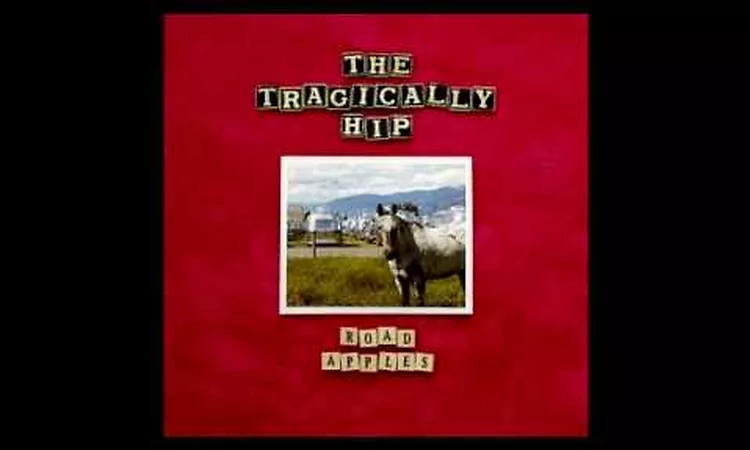 The Tragically Hip - Fight