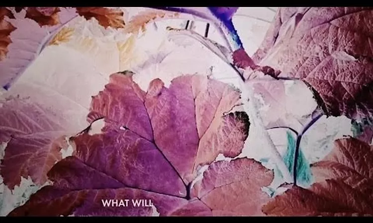 Jos? Gonz?lez - What Will (Lyric Video)