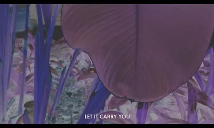 Jos? Gonz?lez - Let It Carry You (Lyric Video)