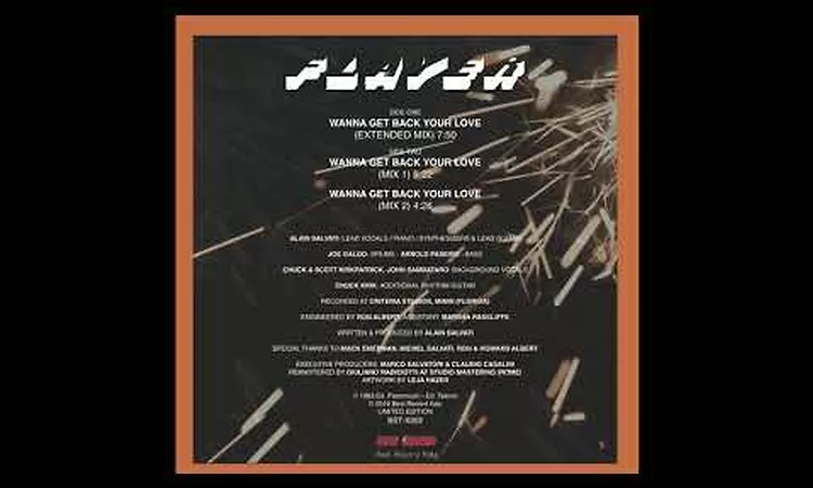 FLAYER - WANNA GET BACK YOUR LOVE (MIX 2)