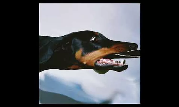 Overmono - Bby