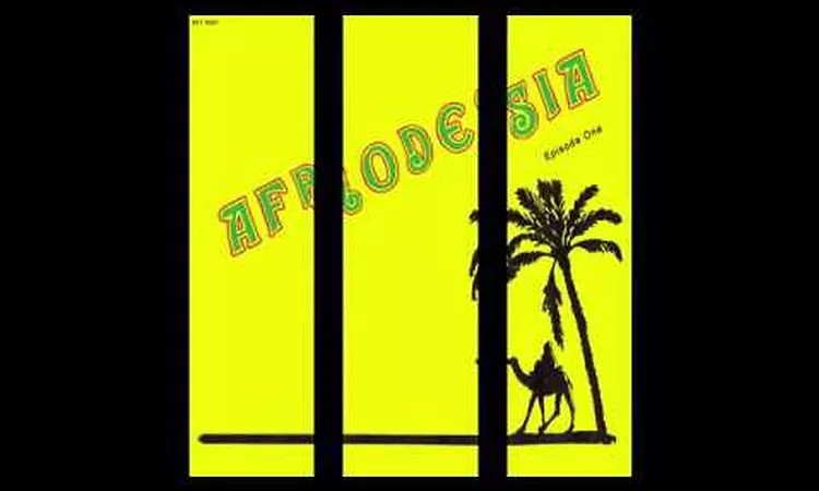 AFRODESIA - MEET IN TUNIS