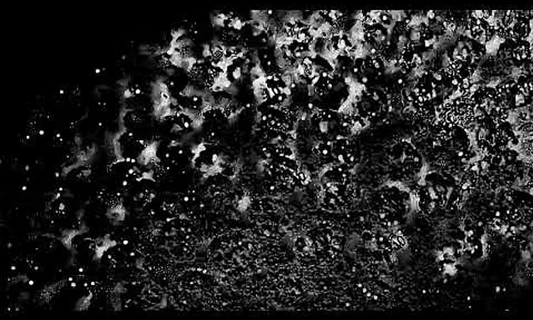 Moritz von Oswald Trio - Chapter 4 (Feat. Heinrich K?bberling & Laurel Halo)