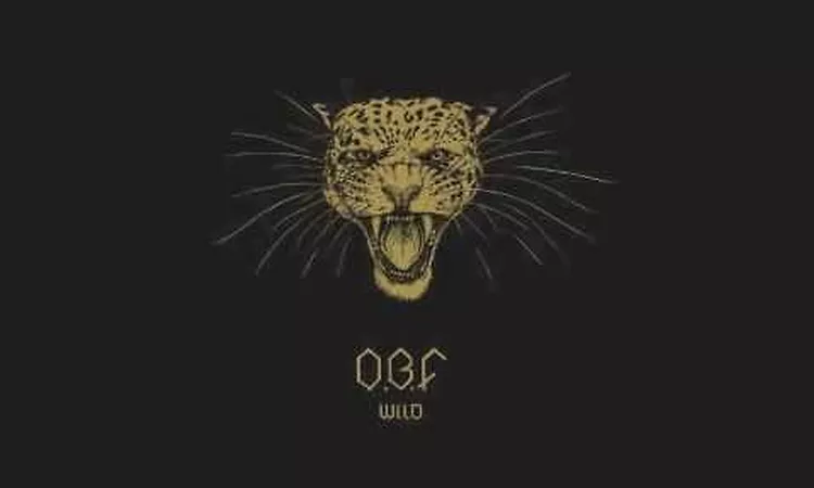 O.B.F feat TROY BERKLEY - BABYLON
