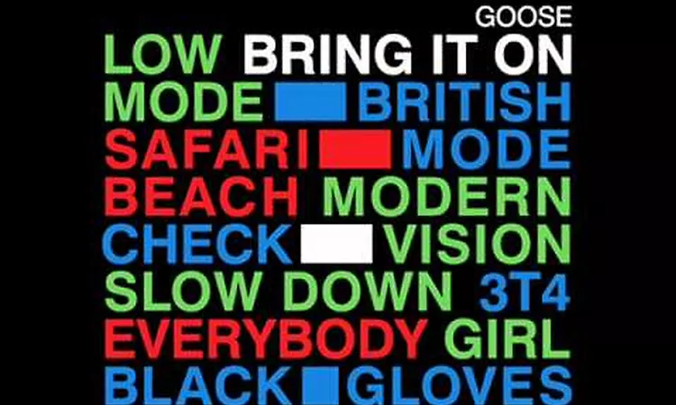 Goose-Modern Vision