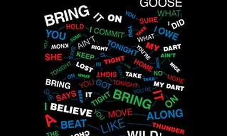 Goose - Everybody