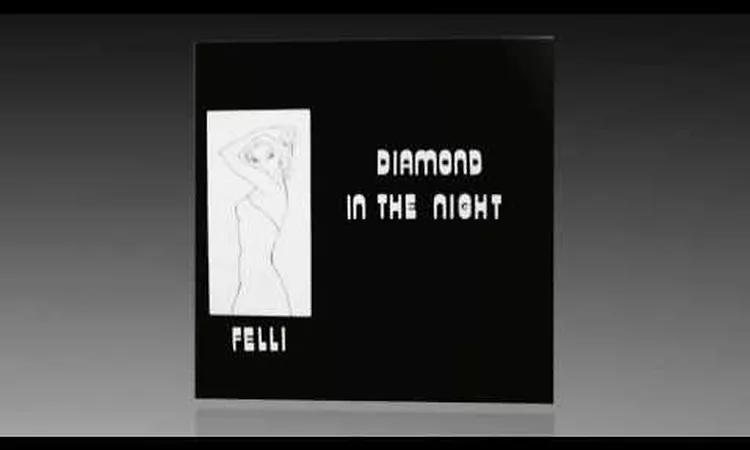 Felli - Diamond In The Night (Vocal)