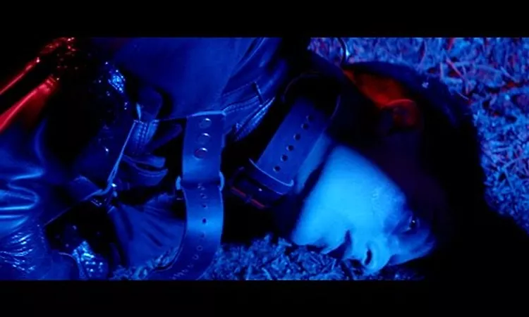 Arca - Desaf
