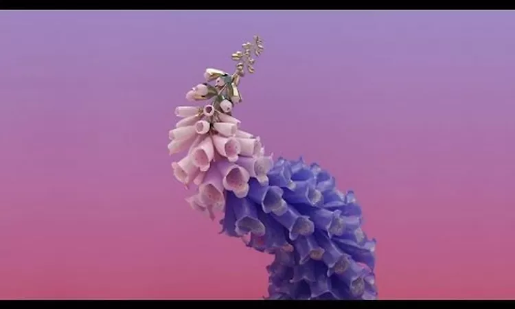 Flume - Wall Fuck